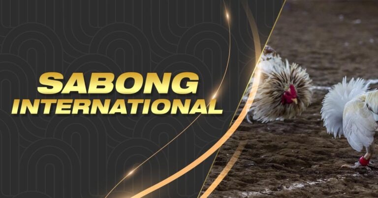 where to bet on horse races