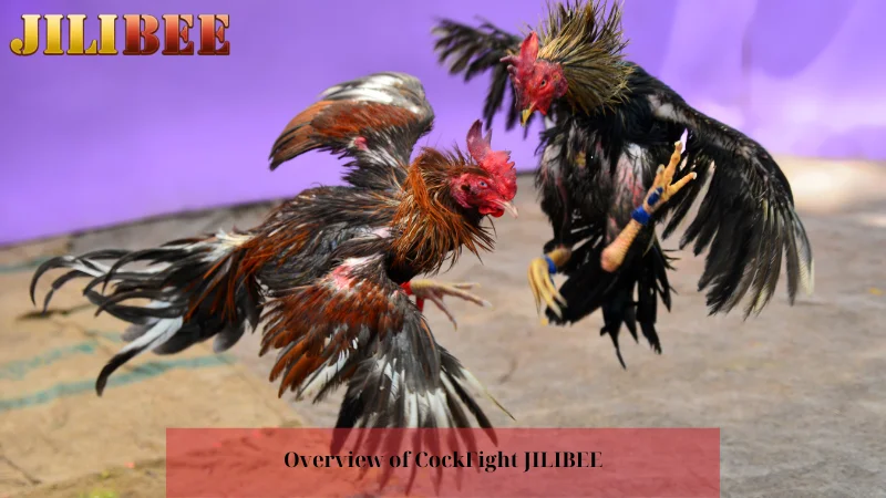 dvx casino login how to bet on 1xbet